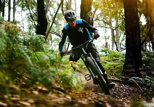 mountain bike3