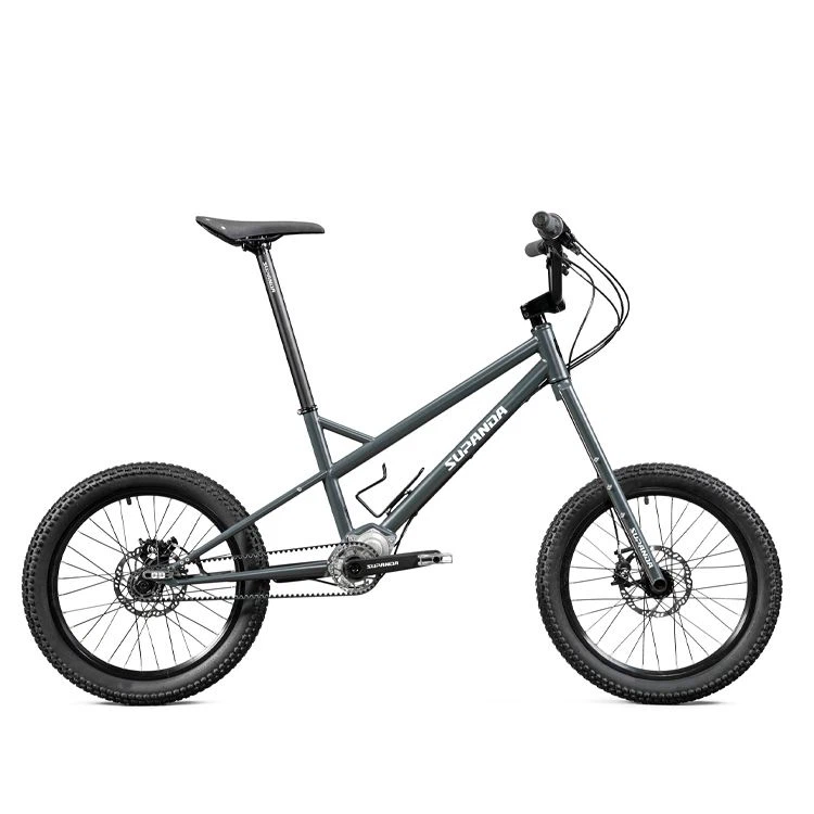Sepeda Commuter Bmx