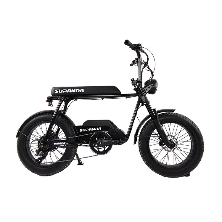 Sepeda gemuk 750w