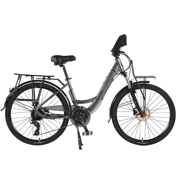 Electric City Bike