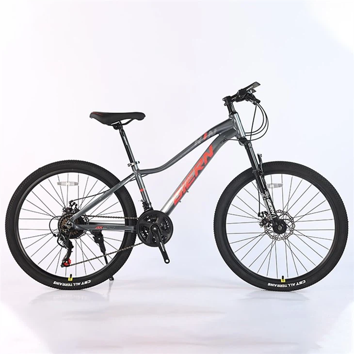 Pink Mountain Bike 26 Inch