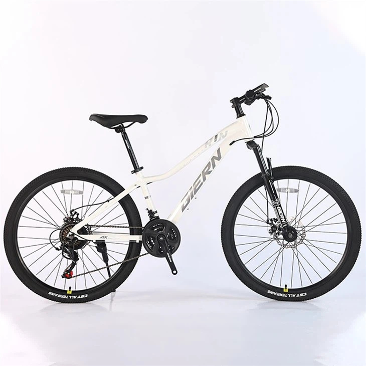 Pink Mountain Bike 26 Inch