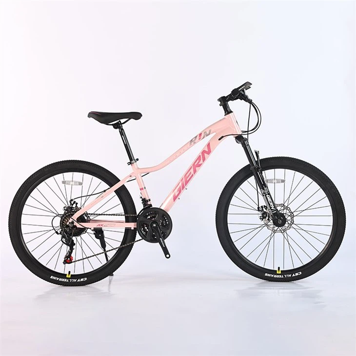 Pink Mountain Bike 26 Inch