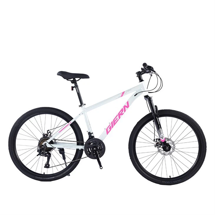 Blue Hardtail Mountain Bike