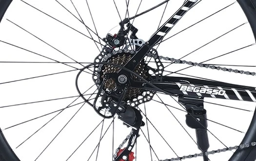 Freewheel Freewheel