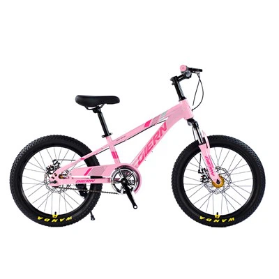 Hardtail Sepeda Gunung 26 Inci